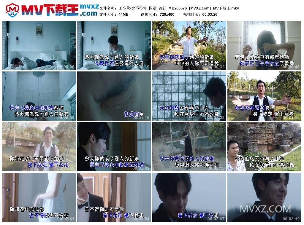 王小荣-舍不得你_国语_流行_MB205676